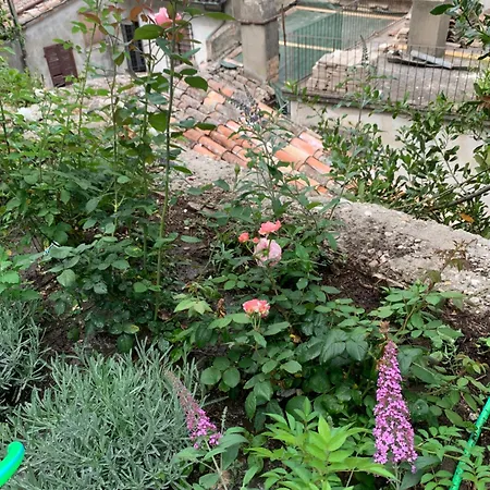 Bed & Breakfast Dimora Scarnabecco *