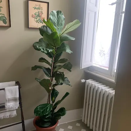 Dimora Scarnabecco Panzió