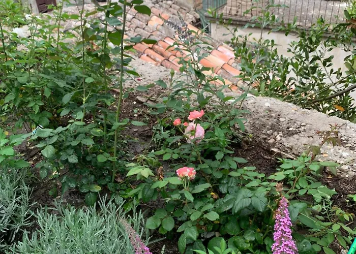 Bed & Breakfast Dimora Scarnabecco 3*