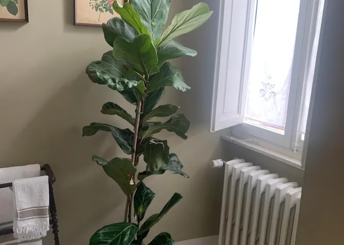 Dimora Scarnabecco Bed & Breakfast